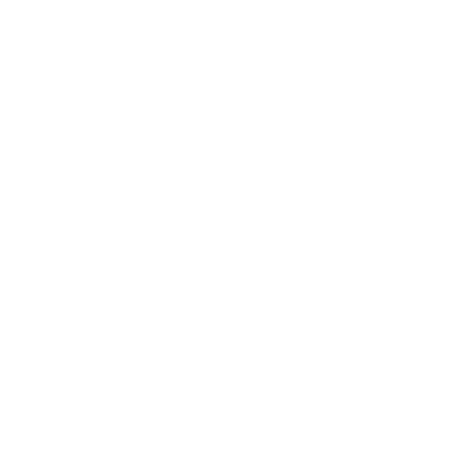 Prince TMT